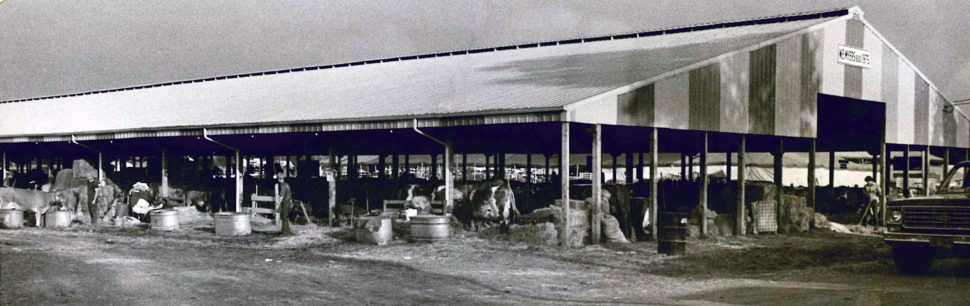Beef barn